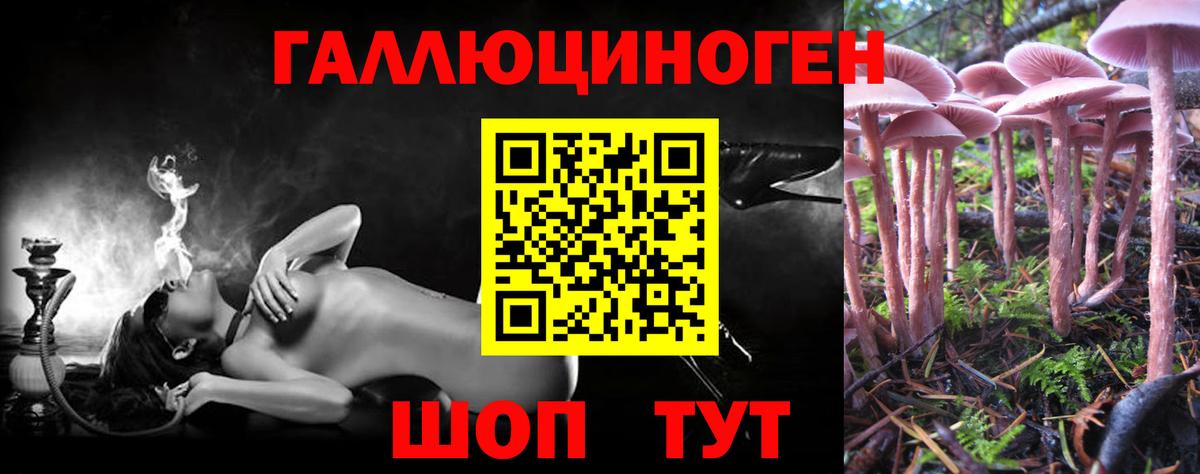 Псилоцибиновые грибы мицелий  Галлюциногенные грибы мицелий  что такое наркотик  Минеральные Воды  Вход с VPN 